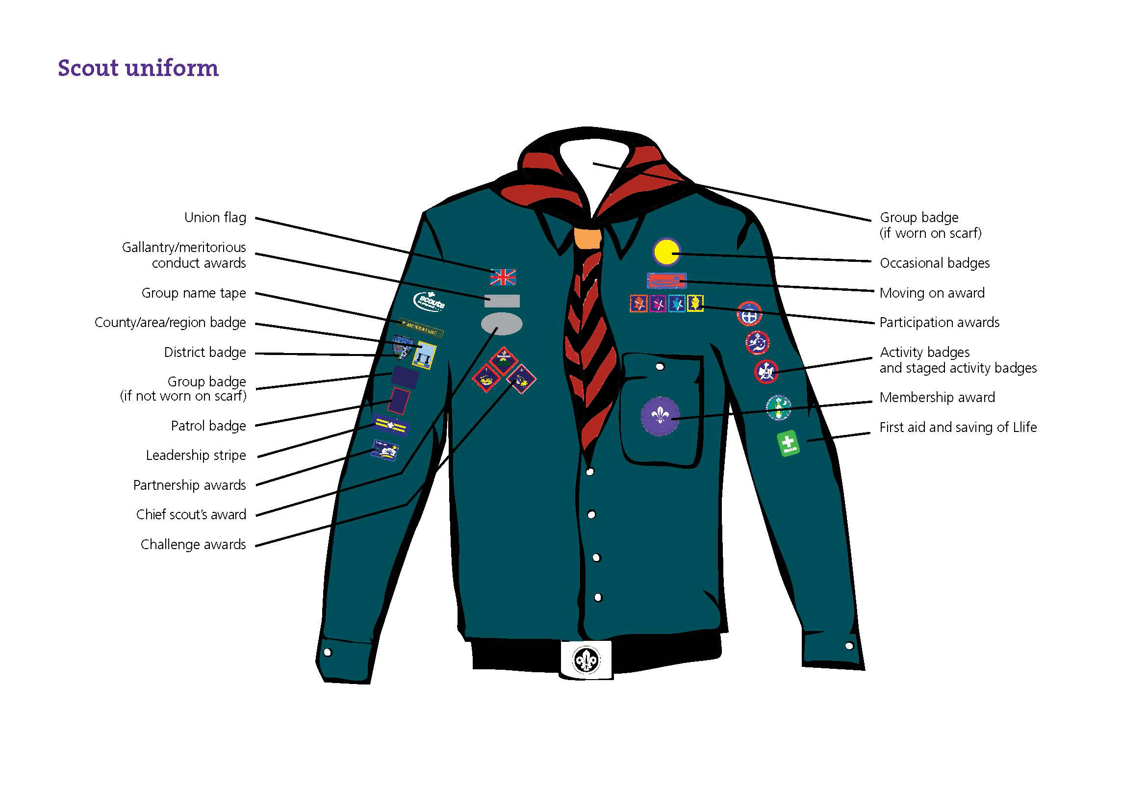 1st horsley scouts uniform